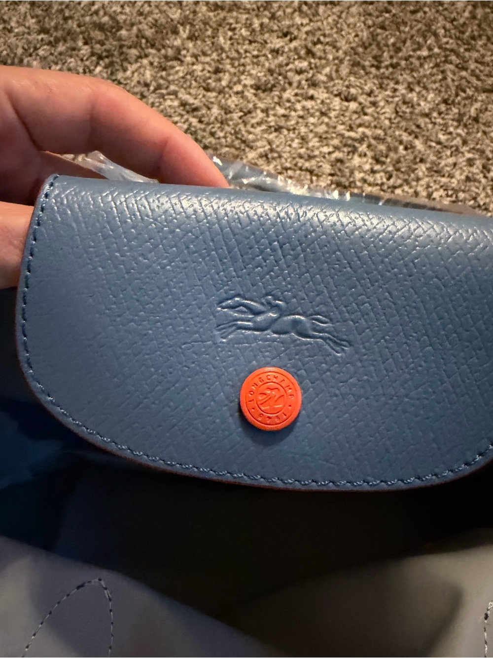 Longchamp Green Blue Mini Crossbody with Orange Accent - Picture 7 of 8